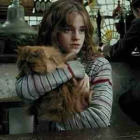 Hermionie Granger