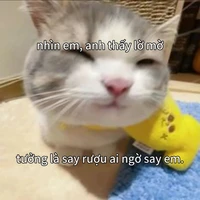 t/g