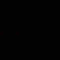 NVP 1