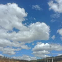 All- (Trừ những người cần trừ)