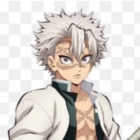 Shinazugawa Sanemi