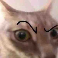 T/g