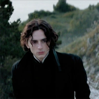 Regulus Black