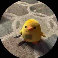 Vịt con trầm tính🐥