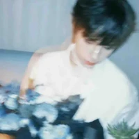 Vương lỗ Kiệt