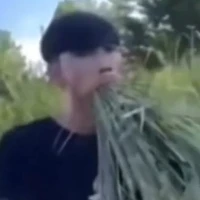 t/g