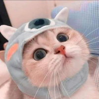t/g ♡