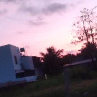Sủi Cảo là nam