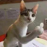 Tác giả bt đi iar💩