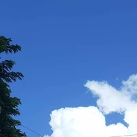 Tgia nè..
