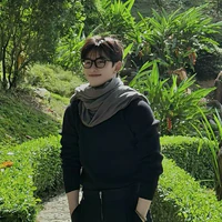 Huỳnh Hoàng Hùng - Gemini