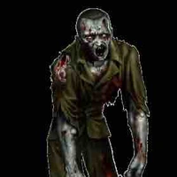 Tử sĩ (nhân vật đa nhiệm vụ)