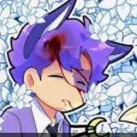 Hiha Catnap