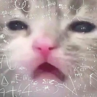 Tác giả😭✨