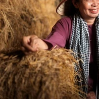 Nhân Vật Phụ