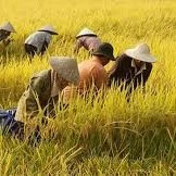 Nhân Vật Phụ