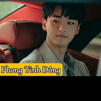 Phong Tinh Đồng