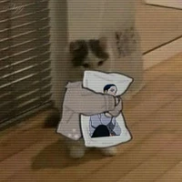 Suki -T/g-