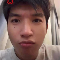 Trần Minh Hiếu (HieuThuHai)