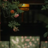 Nhân Duyên Tiền Định