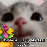 nhân vật phụ =))