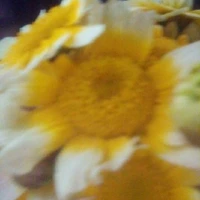 huongduong