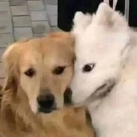 nhìn cái moẹ gì •∆•