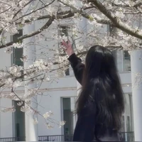 Chu Ngọc Y/n
