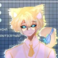 Hiha anticatnap