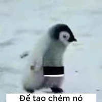 Nhóm giáo viên
