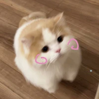 Tgiả