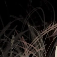 nhân vật phụ/ẩn