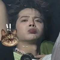 cừu