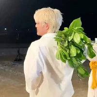 hội bot