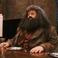 Rubeus Hagrid