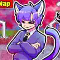 Hiha Catnap 