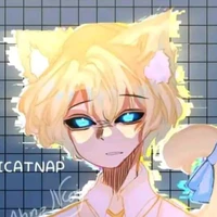hiha_anti catnap