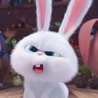 T/g bun