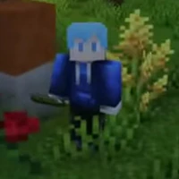 TinNT