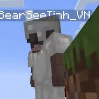 Bear See Tình