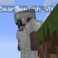 Bear See Tình
