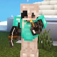 K3n 2401 YT