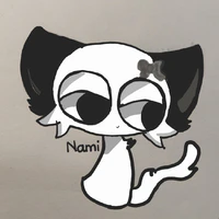 Nami ( my oc )