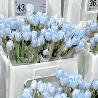 mọi người trừ ai thì trừ