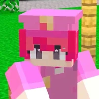_#[Hiha_police]#_