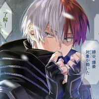 Todoroki Shoto [Shoto]