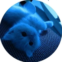 ♀Chip Biết Bay≛