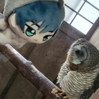 💫/sop2/con khùng 😘🍓