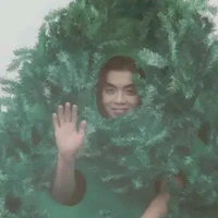 Nẹt ga