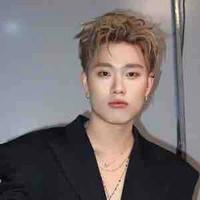 Trần Đăng Dương (  Dương Domic )